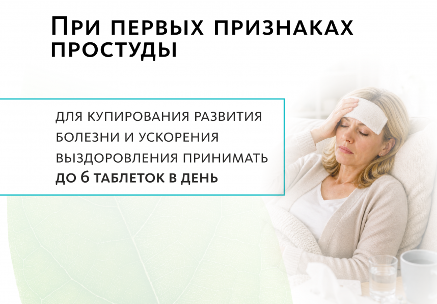 Аюрведические травяные таблетки «ИммуноВеда»: корректная работа иммунитета Indo Medica MeiTan