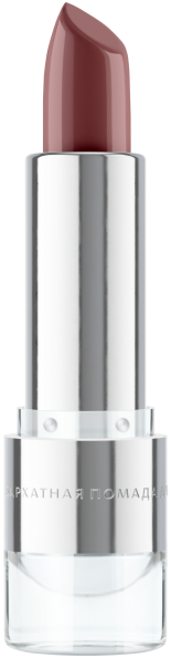 Бархатная помада для губ №5 Шоколадный трюфель Tera MeiTan