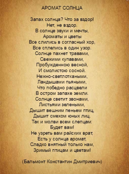 Ароматный чай для бодрости «Есть у солнца аромат…» MEITAN Family MeiTan