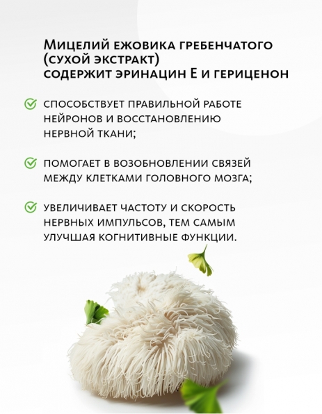 Сибирский концентрат №3 «Нейроживитель» - подарок «Крепкое сибирское» MeiTan