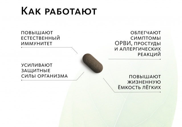 Аюрведические травяные таблетки «ИммуноВеда»: корректная работа иммунитета Indo Medica MeiTan