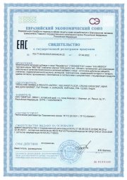 Аюрведические травяные таблетки «ВедаДетокс»: детоксикация организма