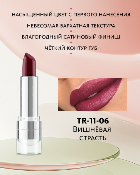 Бархатная помада для губ №6 Вишнёвая страсть Tera MeiTan
