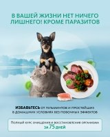 Травяной сбор Антипаразитарный – для очищения и восстановления организма «Крепкое сибирское» MeiTan