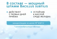 BaSu сухой концентрат пробиотический «Крепкое сибирское» MeiTan