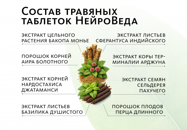 Аюрведические травяные таблетки «НейроВеда»: антистресс и работоспособность Indo Medica MeiTan