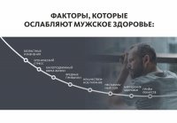 Пантовые орешки с кедром и женьшенем «Крепкое сибирское» MeiTan