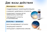 НАБОР 3 ШТ. Комплекс для зрения Ясный фокус-Дуо (монодозы + капсулы) MEITANGreen MeiTan