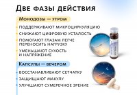 Комплекс для зрения Ясный фокус-Дуо (монодозы + капсулы) MEITANGreen MeiTan