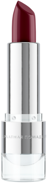 Бархатная помада для губ №6 Вишнёвая страсть Tera MeiTan