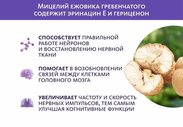 Сибирский концентрат №3 «Нейроживитель» «Крепкое сибирское» MeiTan