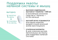 Биологически активная добавка к пище Magnesium & Vitamin B₆ (Магний 300 мг и Витамин B₆ 4 мг) NutriTOP MeiTan