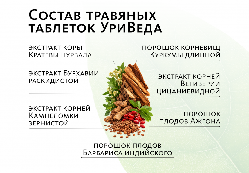 Аюрведические травяные таблетки «УриВеда плюс»: для почек и мочевого пузыря Indo Medica MeiTan