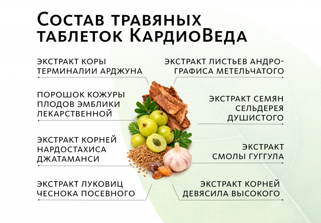 Аюрведические травяные таблетки «КардиоВеда»: для здоровья сердца и сосудистой системы Indo Medica MeiTan