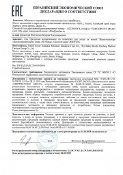 Детоксикационный пластырь