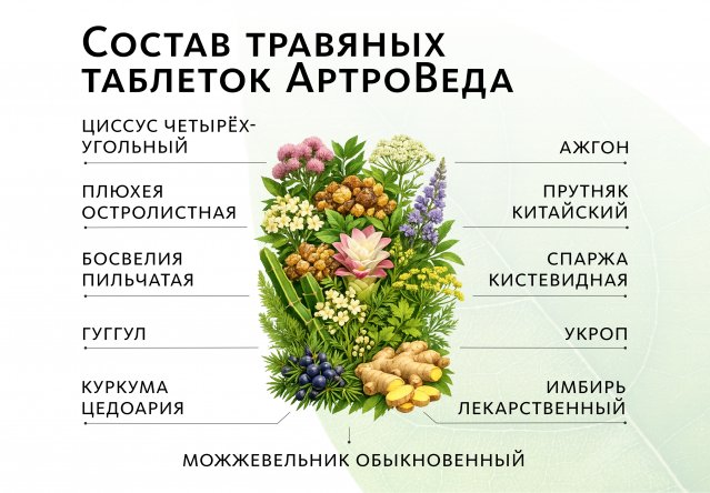 Аюрведические травяные таблетки «АртроВеда»: для опорно-двигательного аппарата Indo Medica MeiTan