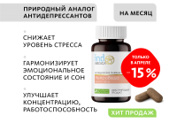 Аюрведические травяные таблетки «НейроВеда»: антистресс и работоспособность Indo Medica MeiTan