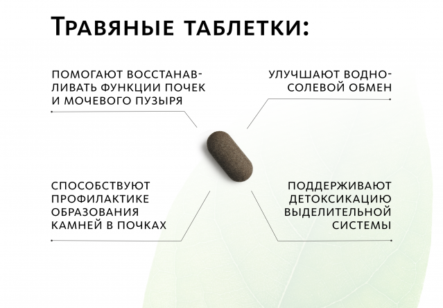 Аюрведические травяные таблетки «УриВеда плюс»: для почек и мочевого пузыря Indo Medica MeiTan