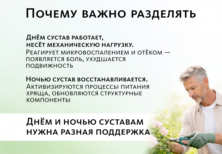 Комплекс для суставов и костей Артро-Дуо (монодозы + капсулы) MEITANGreen MeiTan