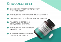 Биологически активная добавка к пище Magnesium & Vitamin B₆ (Магний 300 мг и Витамин B₆ 4 мг) NutriTOP MeiTan