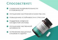 Биологически активная добавка к пище Magnesium & Vitamin B₆ (Магний 300 мг и Витамин B₆ 4 мг) NutriTOP MeiTan