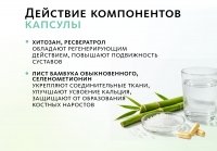 Комплекс для суставов и костей Артро-Дуо (монодозы + капсулы) MEITANGreen MeiTan