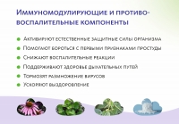 Био-концентрат VitaCode Immuno MEITANGreen MeiTan