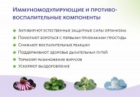 Био-концентрат VitaCode Immuno MEITANGreen MeiTan