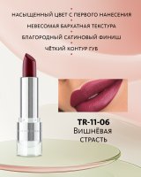Бархатная помада для губ №6 Вишнёвая страсть Tera MeiTan