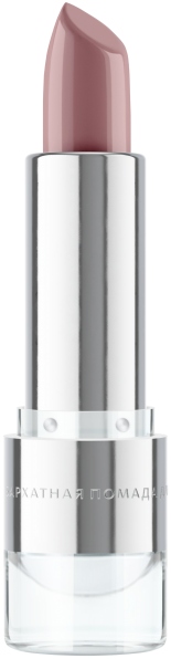 Бархатная помада для губ №4 Пудровая роза Tera MeiTan