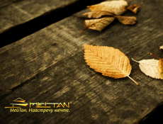 Новинки каталога ОСЕНЬ 2016 Компании МейТан уже в продаже!