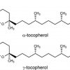 Токоферол