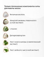 Сибирский концентрат №3 «Нейроживитель» - подарок «Крепкое сибирское» MeiTan