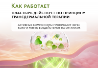 Детоксикационный пластырь He Sheng MeiTan