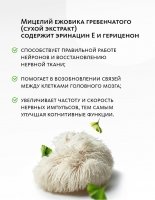 Сибирский концентрат №3 «Нейроживитель» - подарок «Крепкое сибирское» MeiTan