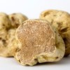 Экстракт белого трюфеля