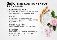 НАБОР для волос: шампунь + бальзам Эксклюзивные разработки от МейТан MeiTan