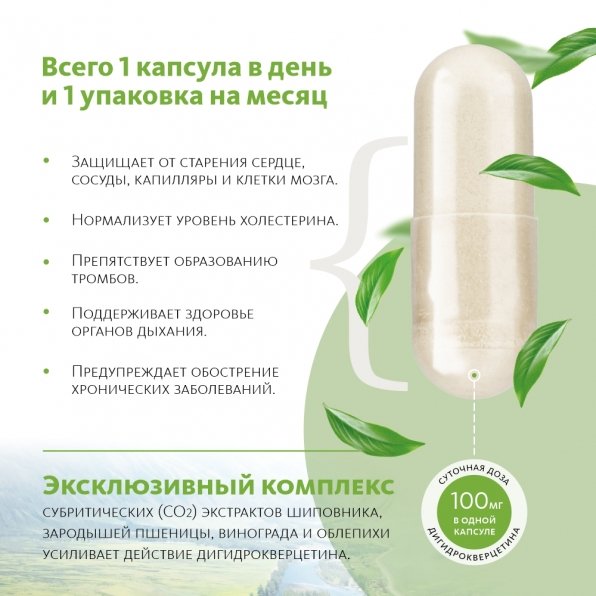 Биологически активная добавка к пище Сибирский концентрат №1 «ДИГИДРОКВЕРЦЕТИН 100» «Крепкое сибирское» MeiTan