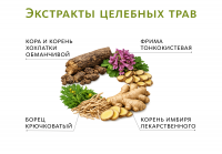 Магнитный био-стикер с ядом чёрных муравьев «То Тун» №6 ОТ СИЛЬНЫХ ВИДОВ БОЛИ Doctor Van Tao Traditional Chinese Medicine MeiTan