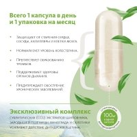 Биологически активная добавка к пище Сибирский концентрат №1 «ДИГИДРОКВЕРЦЕТИН 100» «Крепкое сибирское» MeiTan