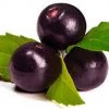 Экстракт ягод асаи 