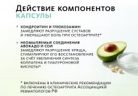 Комплекс для суставов и костей Артро-Дуо (монодозы + капсулы) MEITANGreen MeiTan