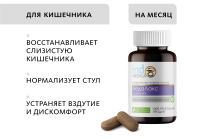 Аюрведические травяные таблетки «ВедаЛакс»: для ЖКТ Indo Medica MeiTan