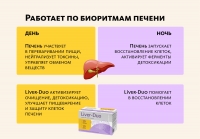 Комплекс для печени Liver-Duo (монодозы + капсулы) MEITANGreen MeiTan