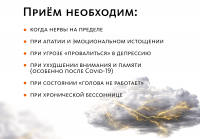 Аюрведические травяные таблетки «НейроВеда»: антистресс и работоспособность Indo Medica MeiTan