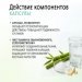 НАБОР 3 шт. Артро-Дуо: комплекс для суставов и костей  MEITANGreen MeiTan