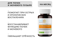 Аюрведические травяные таблетки «УриВеда плюс»: для почек и мочевого пузыря Indo Medica MeiTan