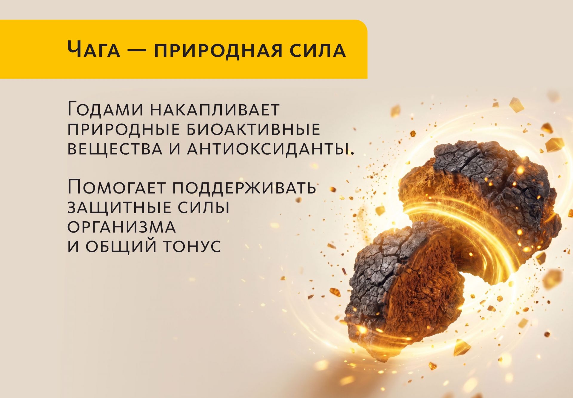 Вкусовой травяной чай «Чаговый с Саган-Дайля»