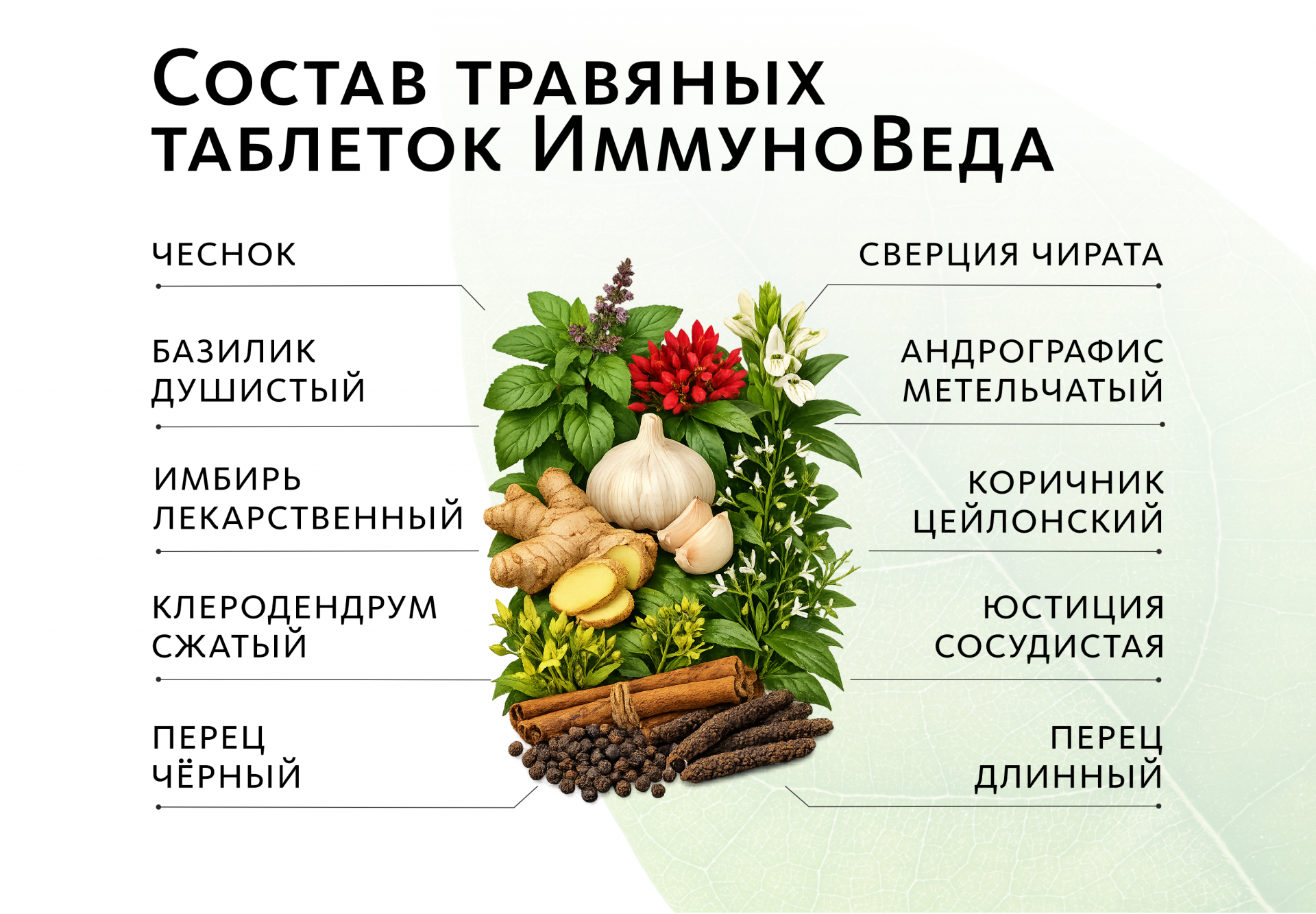 Аюрведические травяные таблетки «ИммуноВеда»: корректная работа иммунитета