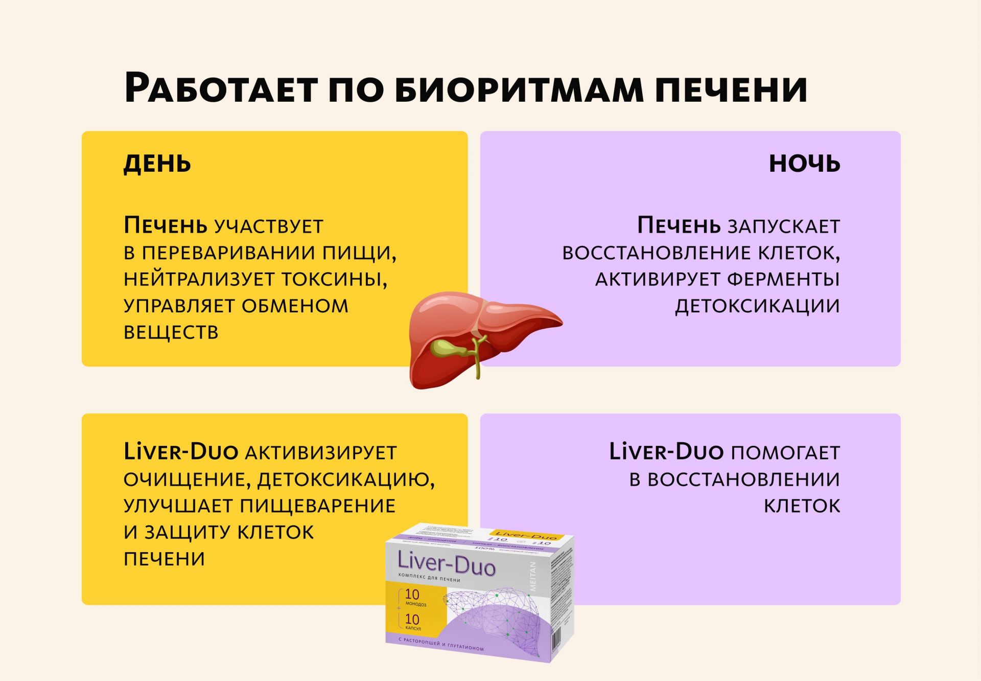 Комплекс для печени Liver-Duo (монодозы + капсулы)